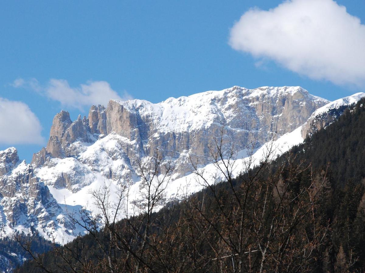 Apartment Villa Placidia-8 By Interhome Campitello di Fassa Dış mekan fotoğraf